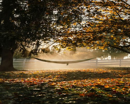Person doing gentle side stretch outdoors in beautiful morning light